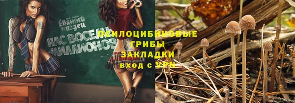 спиды Михайловка