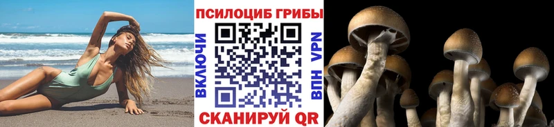 blacksprut ссылка  Брюховецкая  Галлюциногенные грибы ЛСД 